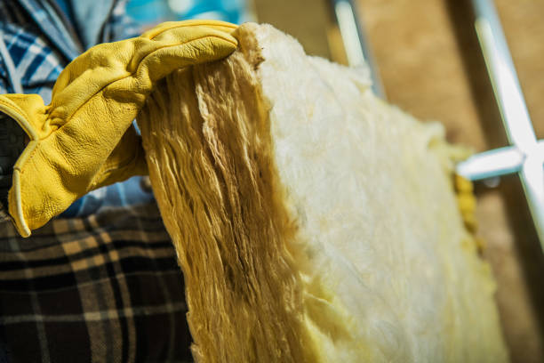 Best Residential Insulation in Osprey, FL